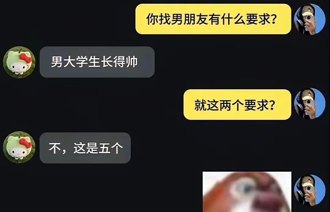 来来来，你们来翻译翻译，哪五个？