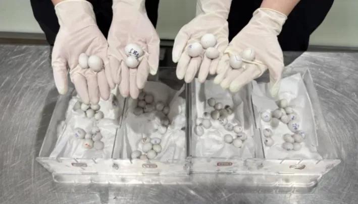 厦门邮轮港海关近日在开展进境旅客监管工作时，敏锐发现异常情况。4名选择"无申报通