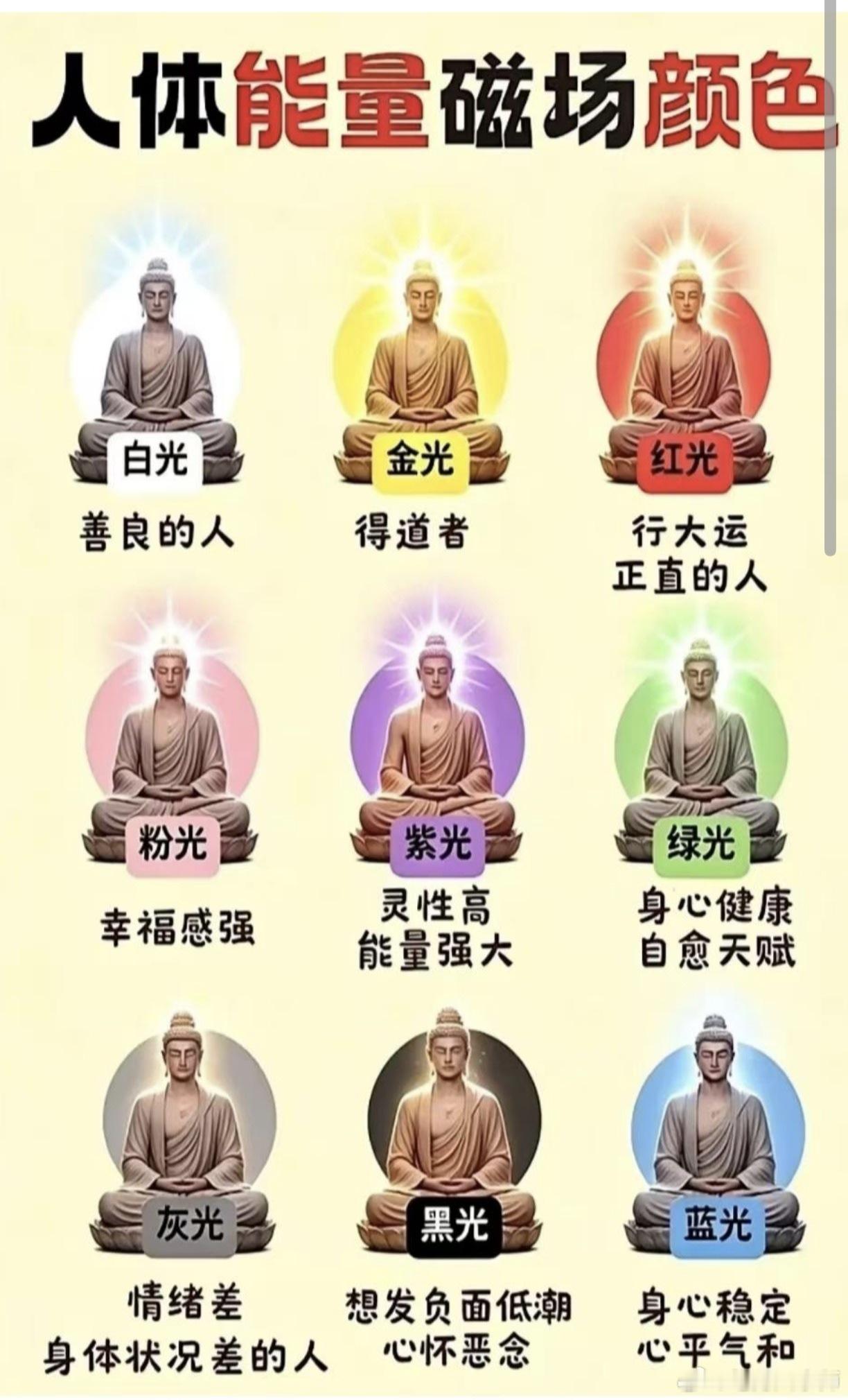 天目开的人能看到​​​