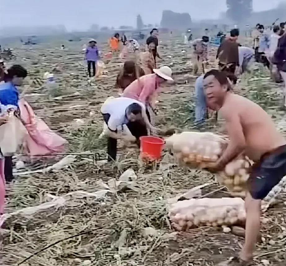 集体抢土豆事件已经在国外被报导并引起热议甚至嘲讽了，宿州这个安徽经济排名第八的城