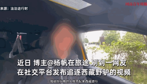 必须严惩！”近日，西藏，一车主开车在当地追逐一头西藏野驴，还把这个视频发出来炫耀