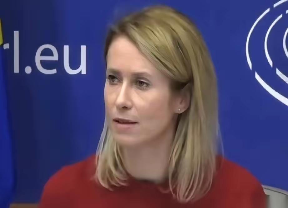 我刚听了一段话，差点以为自己耳朵出了问题。欧盟的外长，对着镜头，把美国和俄罗斯