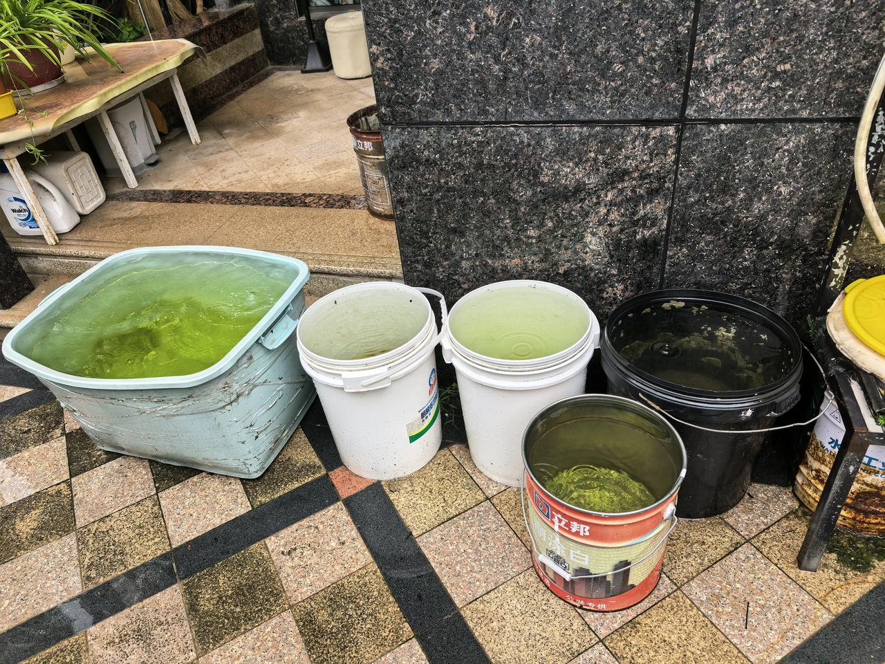 下雨是养花种菜人比较喜欢的时候，一直等待这将要来临的甘霖，还好，昨夜估计下了中雨
