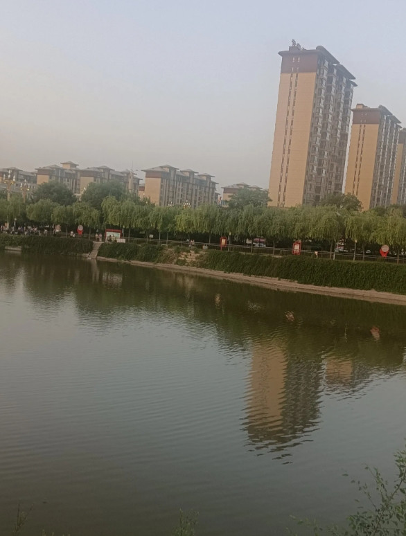 对门的婆婆啊，终于解脱喽。她可是饿了六天，就这么去了。昨天盖棺的时候，人都瘦得只