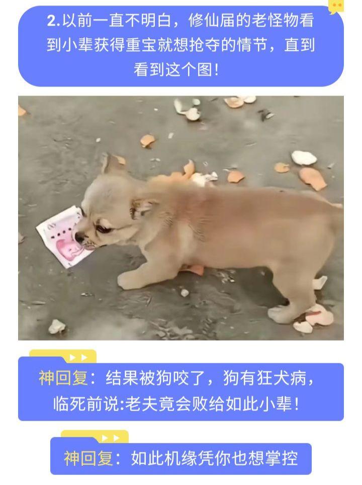 放下重宝速速离去，老夫饶你一命