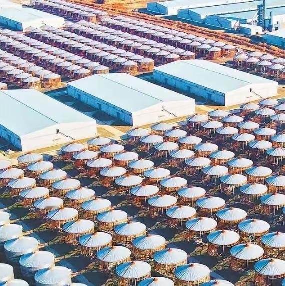 明牌了！中国2025年囤积了充足的物资，即便这样，我们还顺差了1.2万亿美元