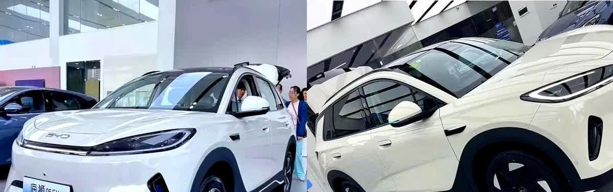比亚迪一官宣大降价，第二天我就直接去订车了，定了一台海狮05ev，车是3月底看中
