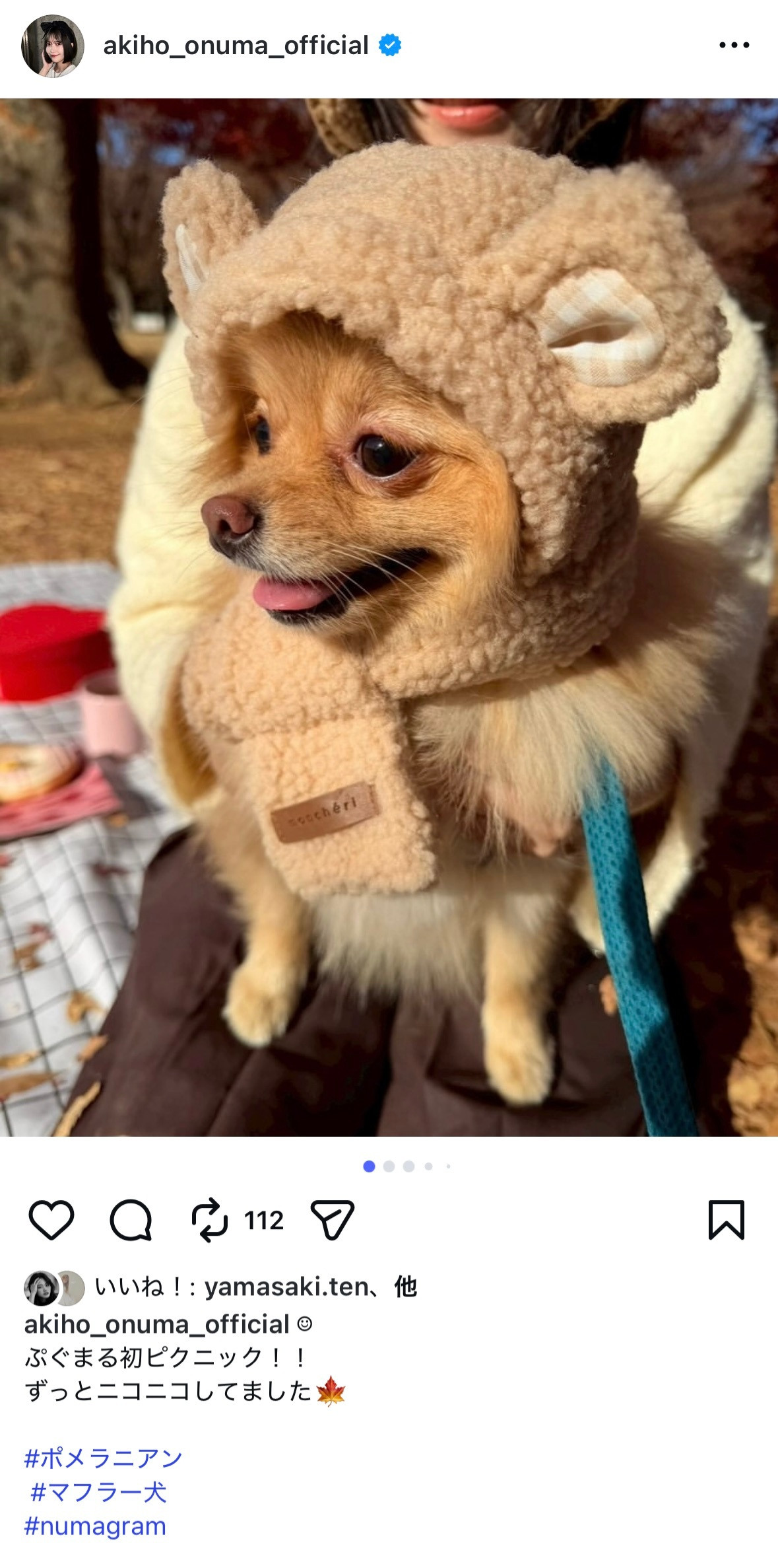 大沼晶保🐟「☺︎秋に癒されました🍁🍂秋ピクニック」　numagram