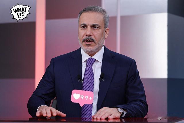 就在刚刚七国外长一致宣布​​11月4日，当地时间11月3日，土耳其在伊斯