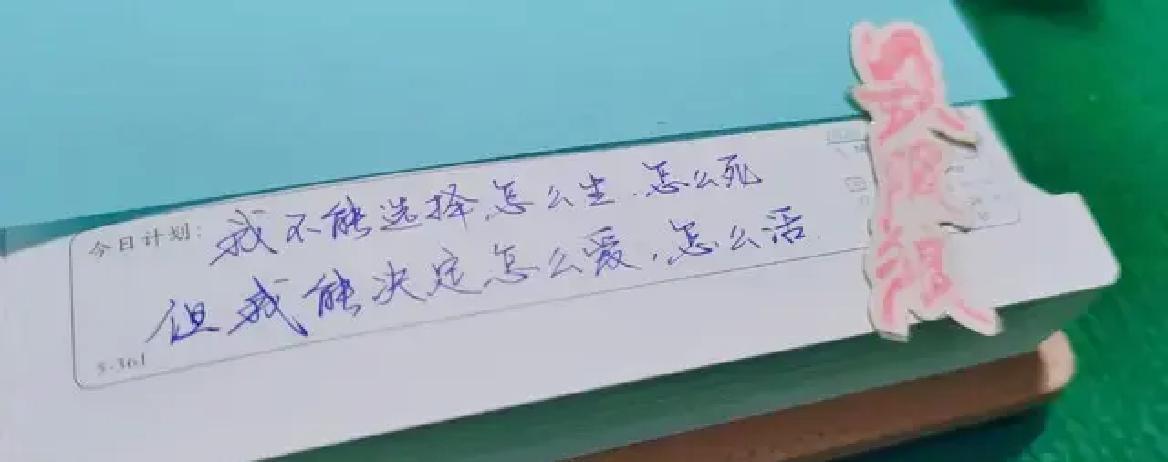 人生真的太短了，短到你根本不敢随便“等一等”很多人每天都在忙，却忙的都是些鸡