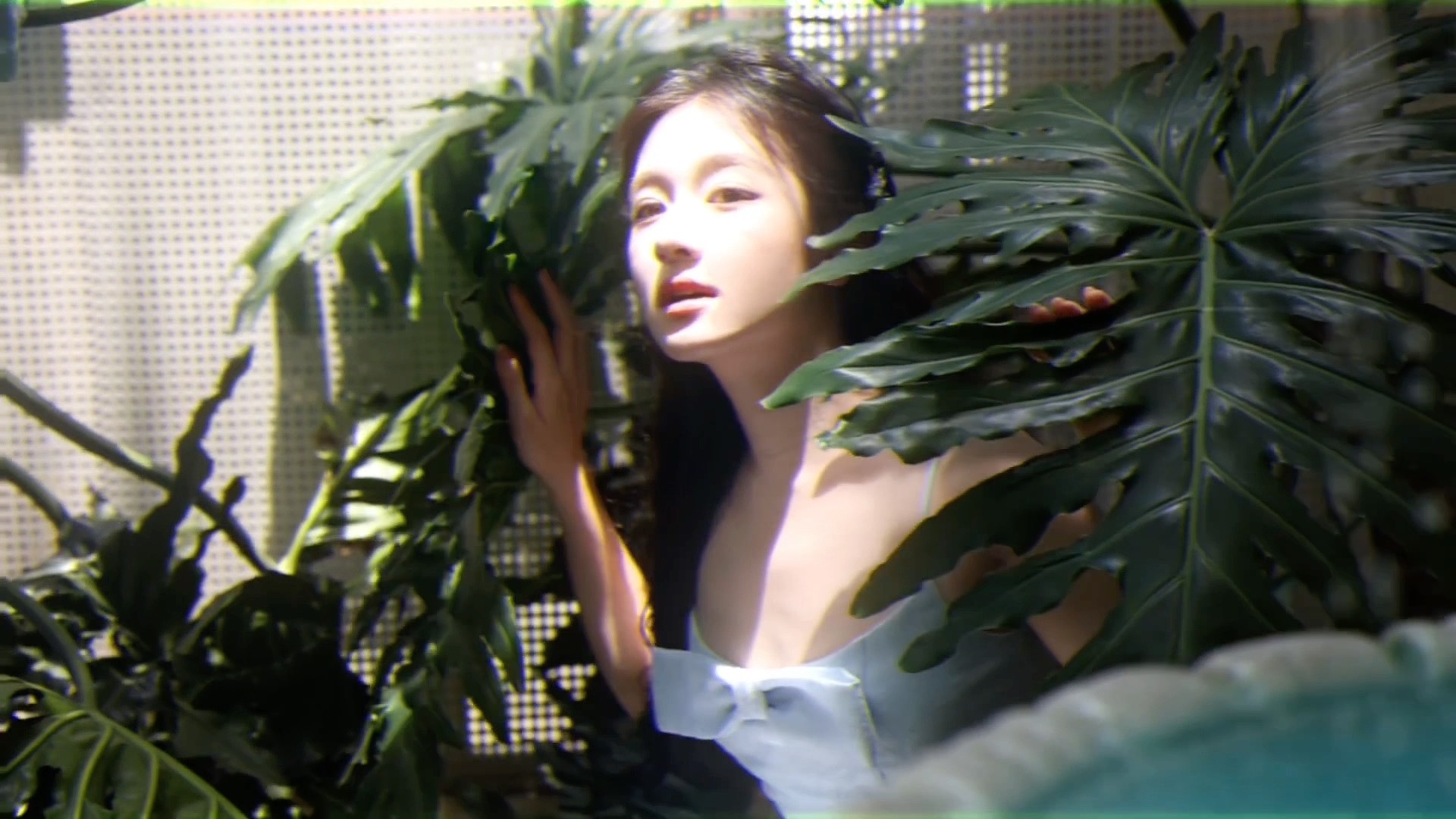 👤李兰迪花絮live