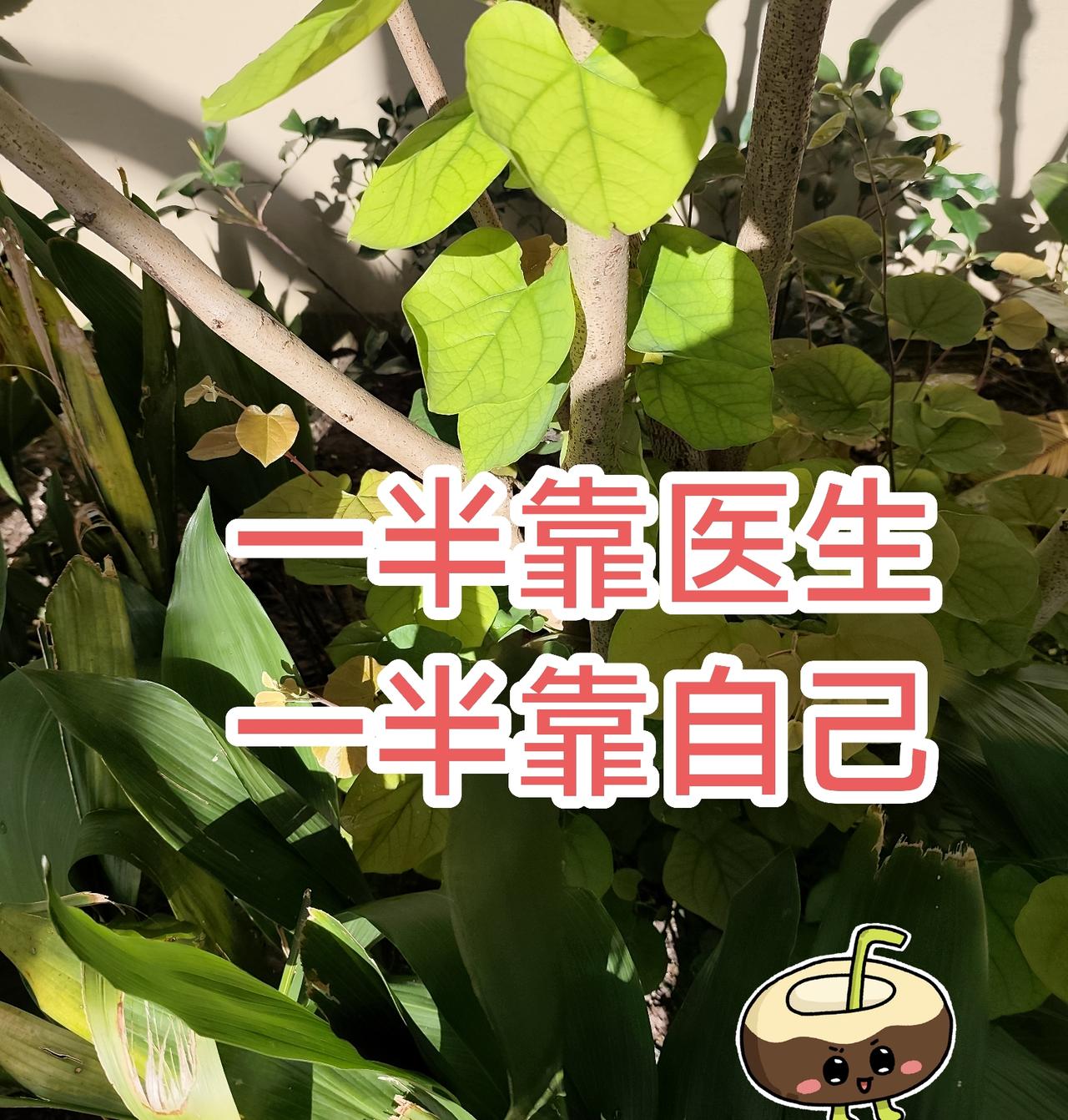 一个鳞癌晚期的人。经过了一番苦，竟然活过来了。老杨被发现就是晚期肺鳞癌。医生说