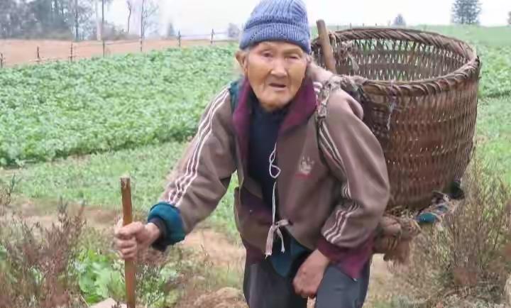 个人浅见！许多老年人其实内心不想离开自己生活了一辈子的家，对养老院很有抵触情