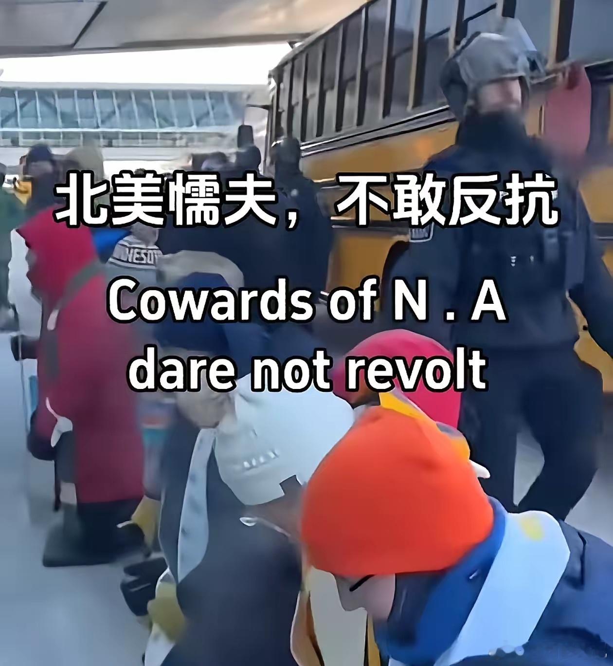 历史的回旋镖！北美懦夫一词，已经在外网火起来了！