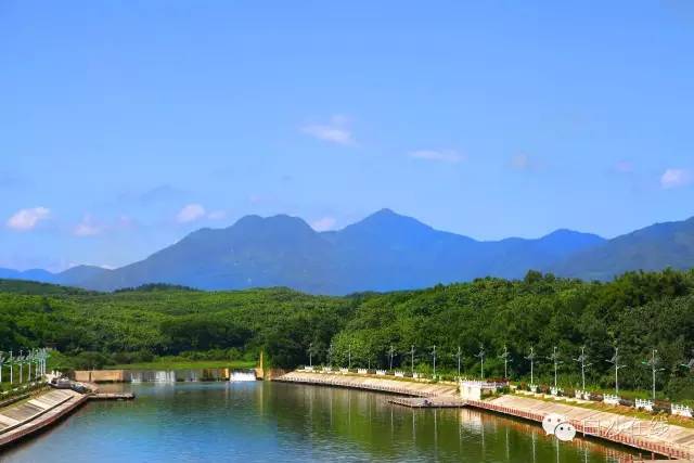 白沙旅游局副局长: 白沙不缺景点 缺星级龙头景区带动