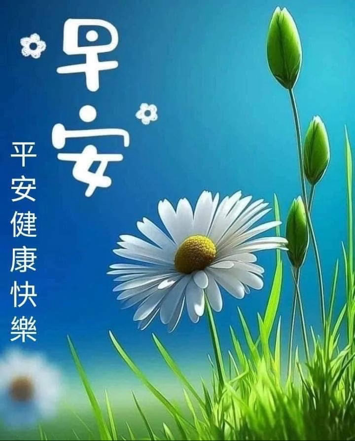 早安早安要向前、向前、再向前，只有在不懈的挑战中才有生命的跃动和人生的胜利。