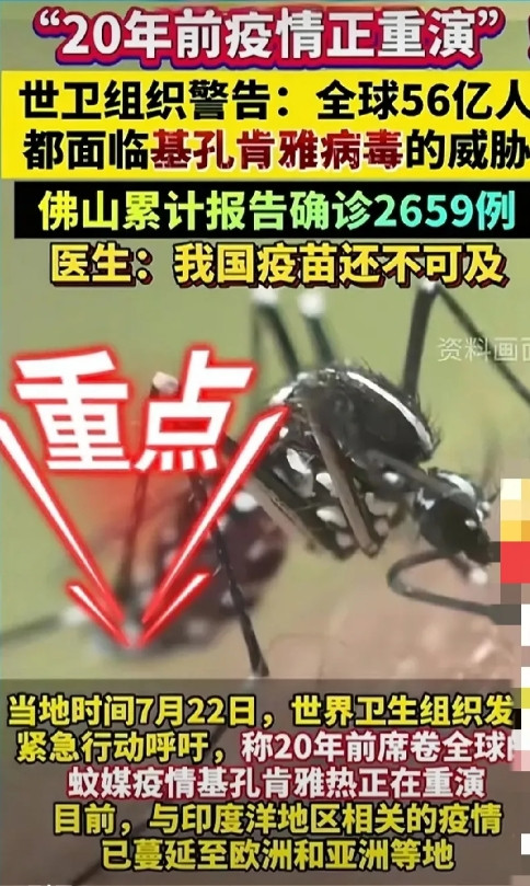 #广东登革热疫情快速上升#福无双至，祸不单行啊！看来今年夏天注定不