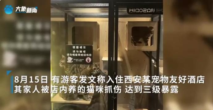 “这下后悔了吧！”8月15日，陕西西安，一女子和丈夫入住酒店，开门时店里的猫跑了
