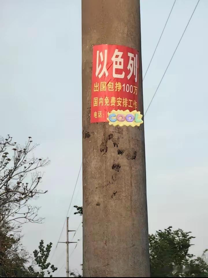 说去缅北，没人去了，那里真割腰子，去以色列，也许有人信……