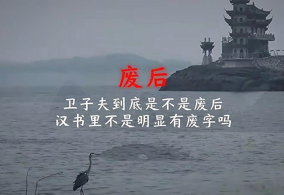 不知道为啥最近都在讨论卫子夫废后这个话题，怎么说呢，卫子夫肯定是废后但是流程没走
