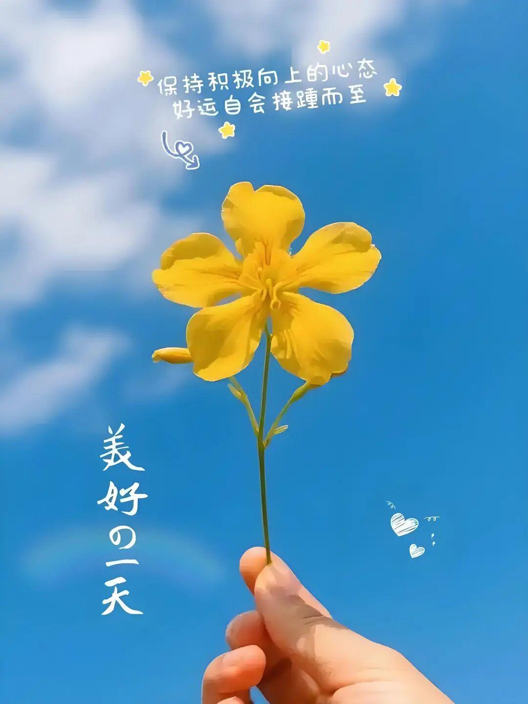 晨光温柔，清风正好，           晨起问声好，好运