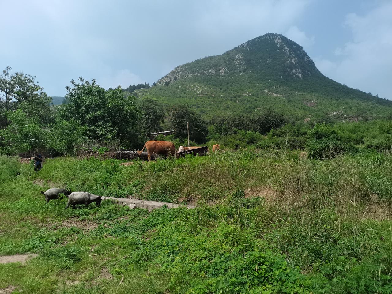 世外桃源在传统经典徒步路线皇马线上有一座小山村中庄村四周群山环抱老石