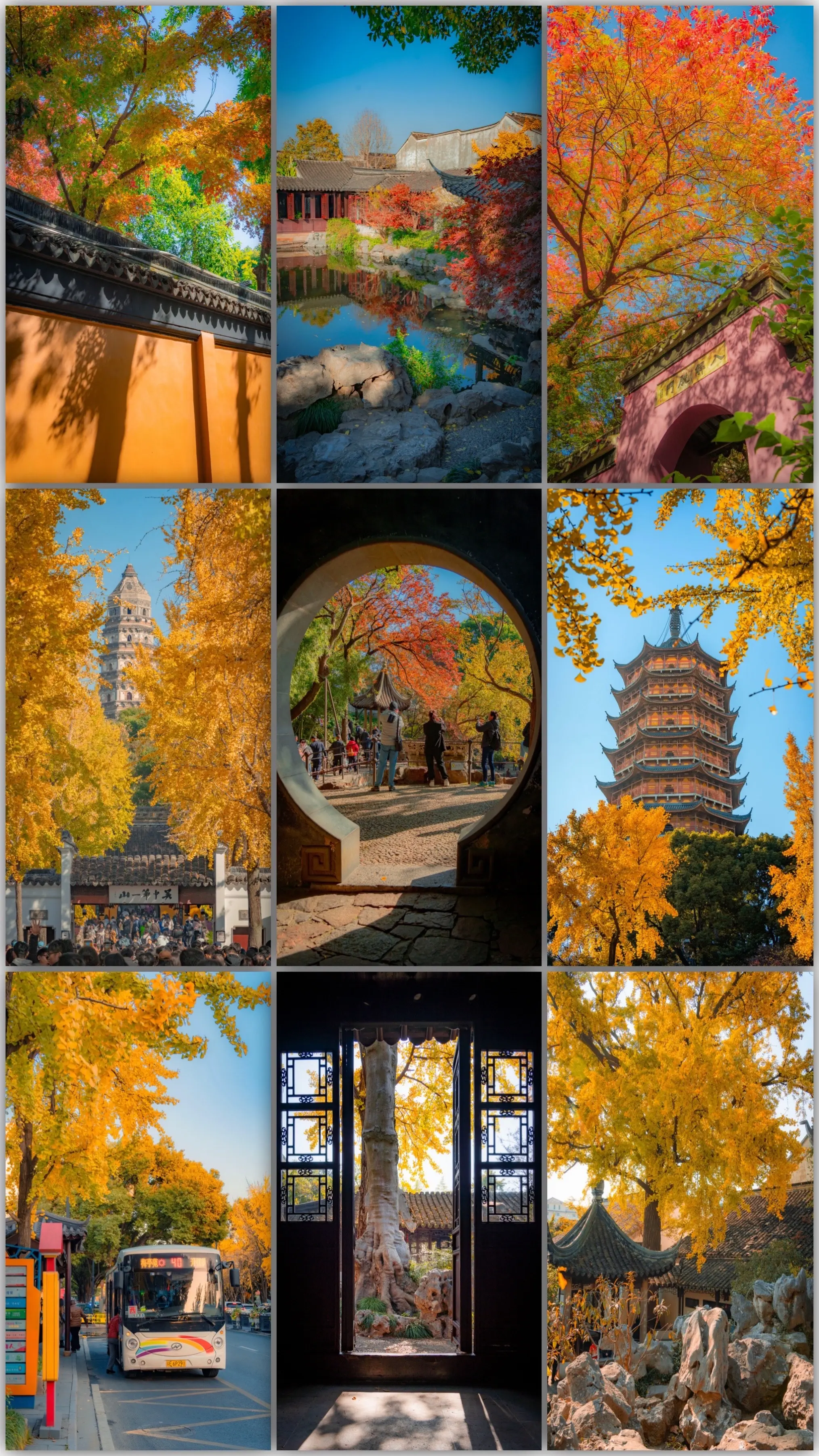 这个秋天最想去哪个城市，艾特谁去。秋意散落于一座座古城，每一处都有独属...
