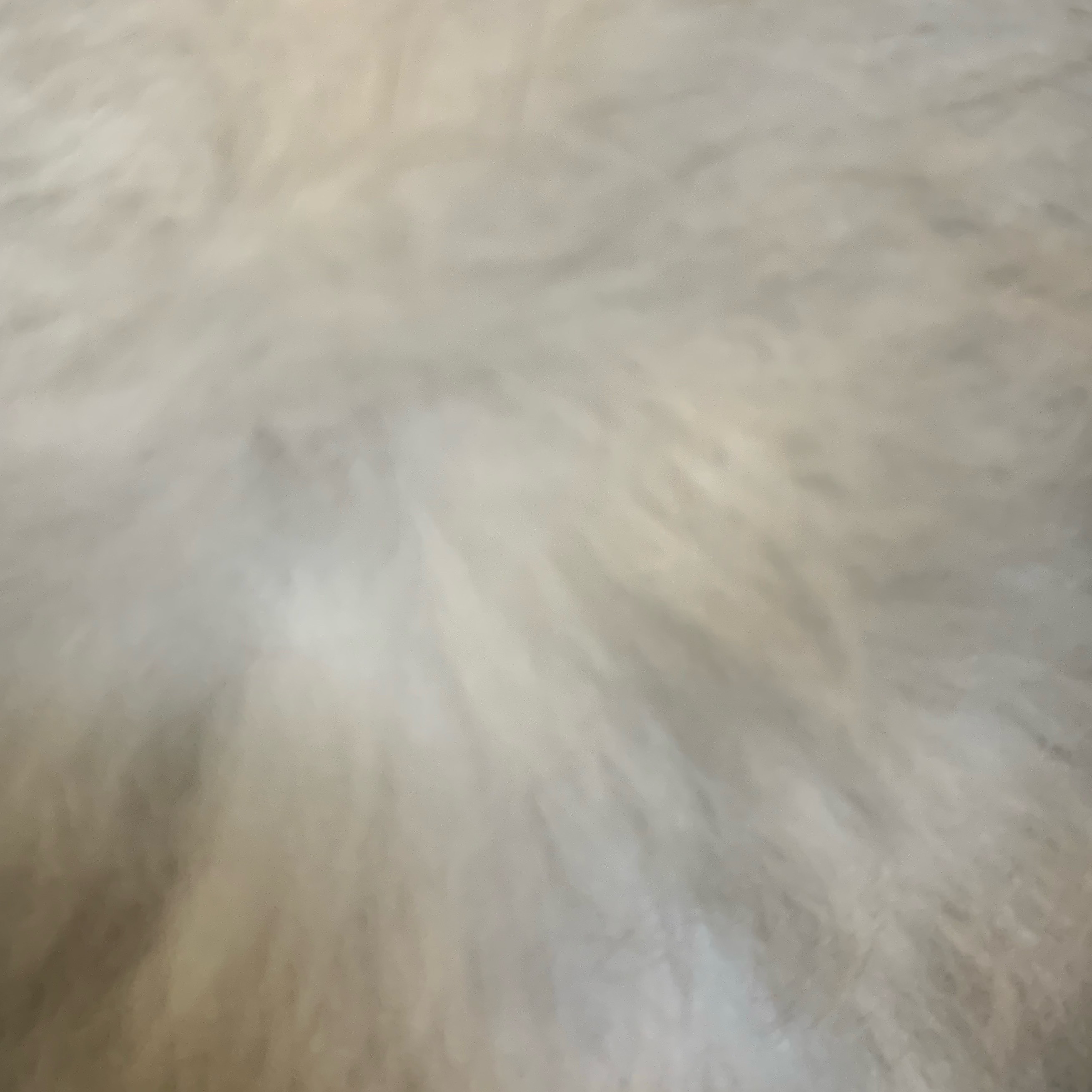 给大家近距离感受一下摸摸的毛发，没开玩笑像棉花糖
