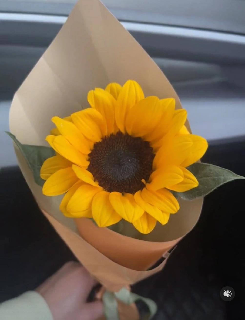 最近有个退休的阿姨火了，就因为她一句话：“退休后，我不会去老年大学。”为什么