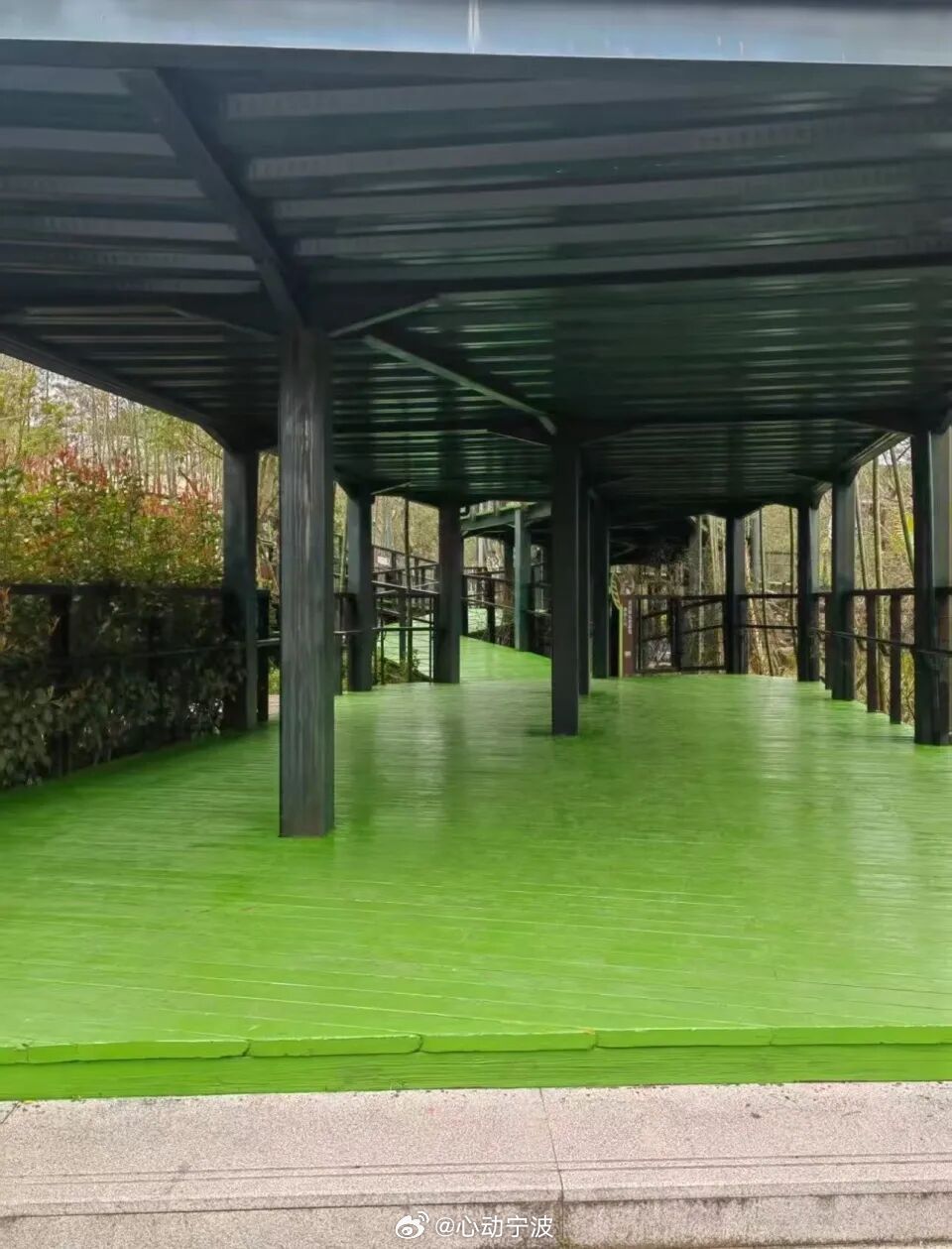 【宁波野生动物园步道刷绿漆被指味道刺鼻影响动物健康，工作人员回应：系正常维护，