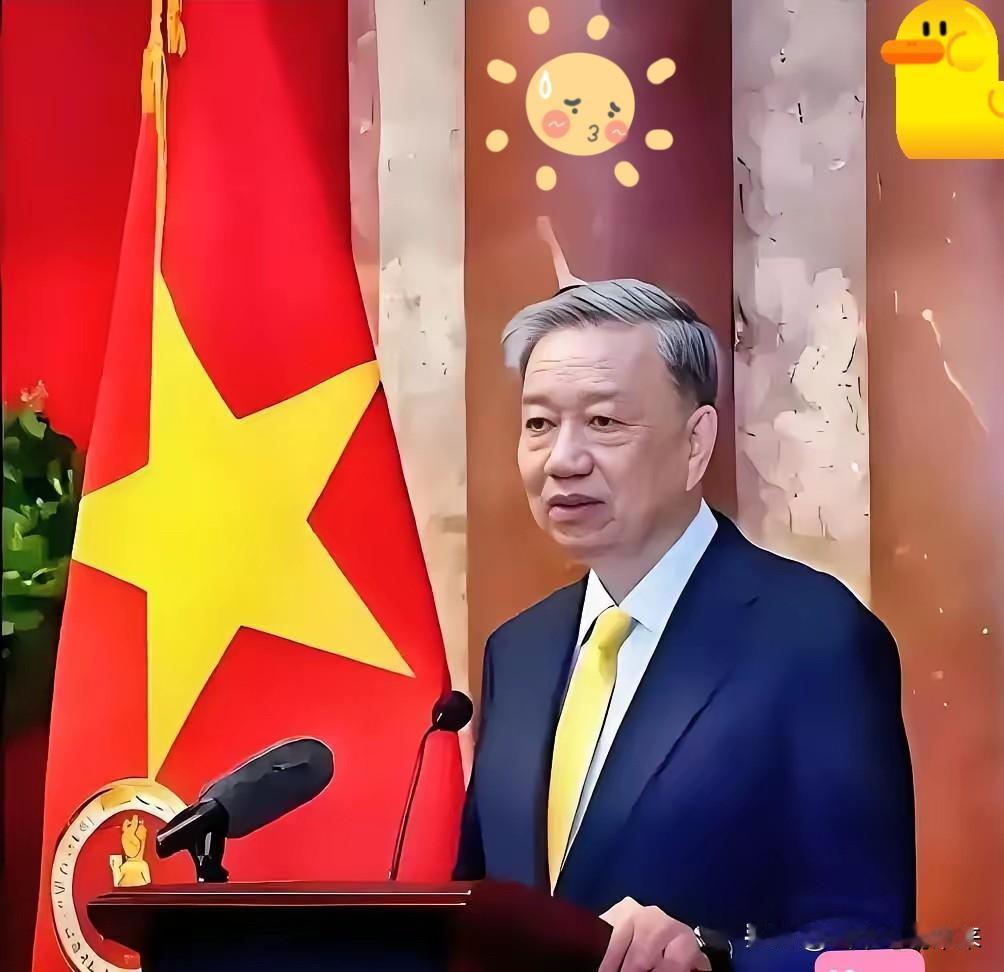 越南又出招了!越南工贸部于2025年10月29日宣布:对原产于某某大国的热