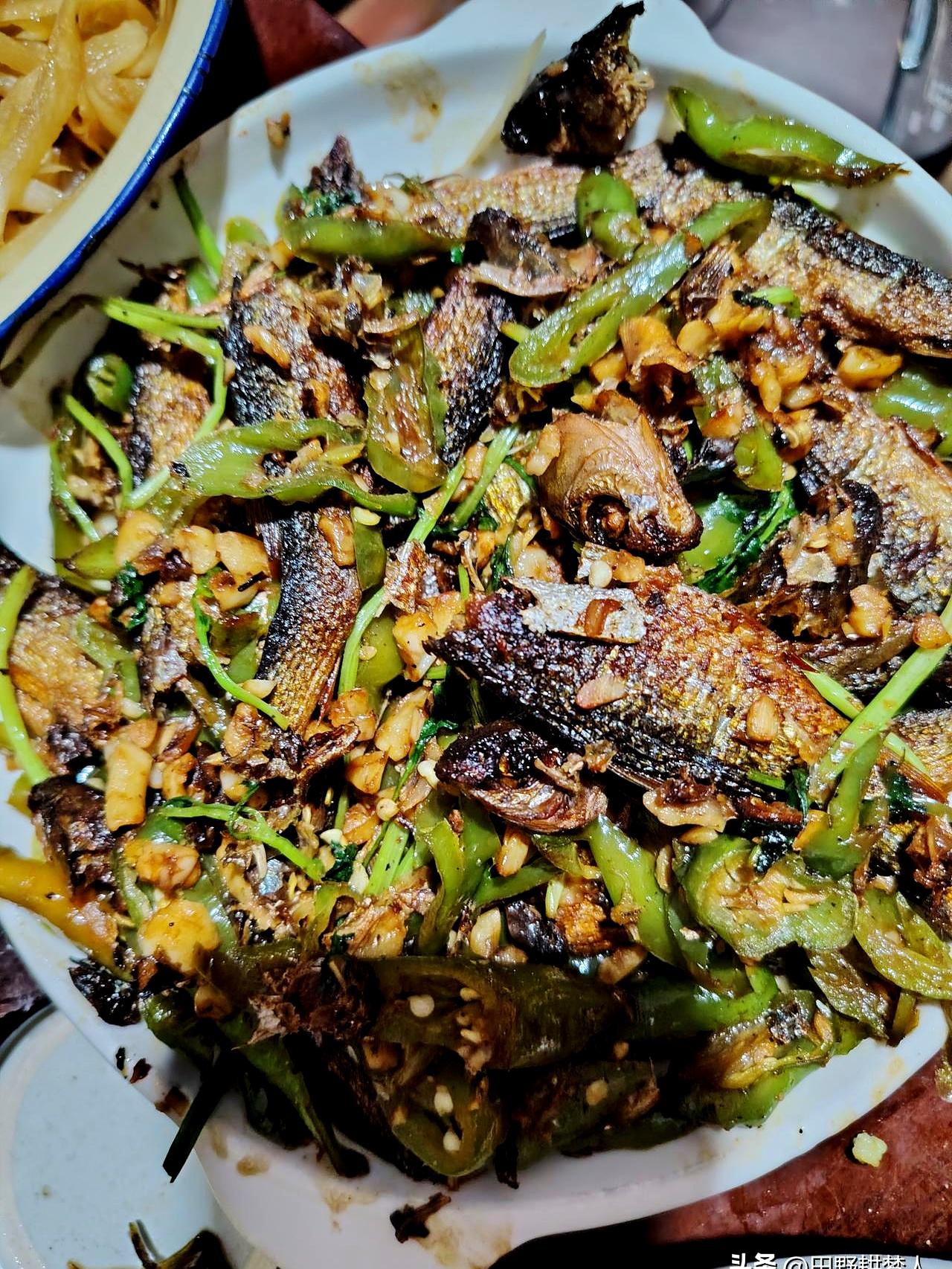 嫁了个卖卤菜的老公是种啥体验？前天我家小猫被野猫咬得身首异处，我吓得不敢动，等