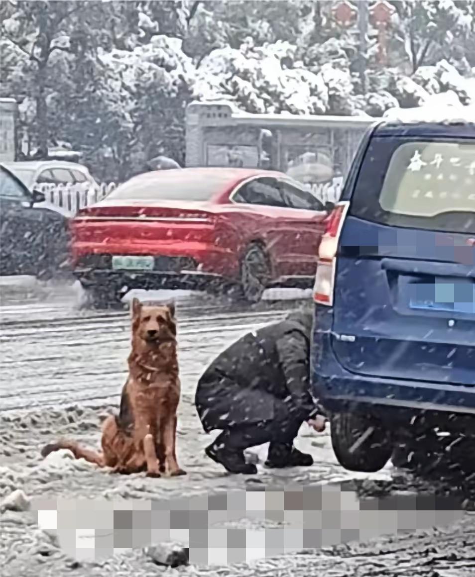 真的破防了！大雪天车子抛锚，最靠谱的不是路人，而是一直陪你过年回家