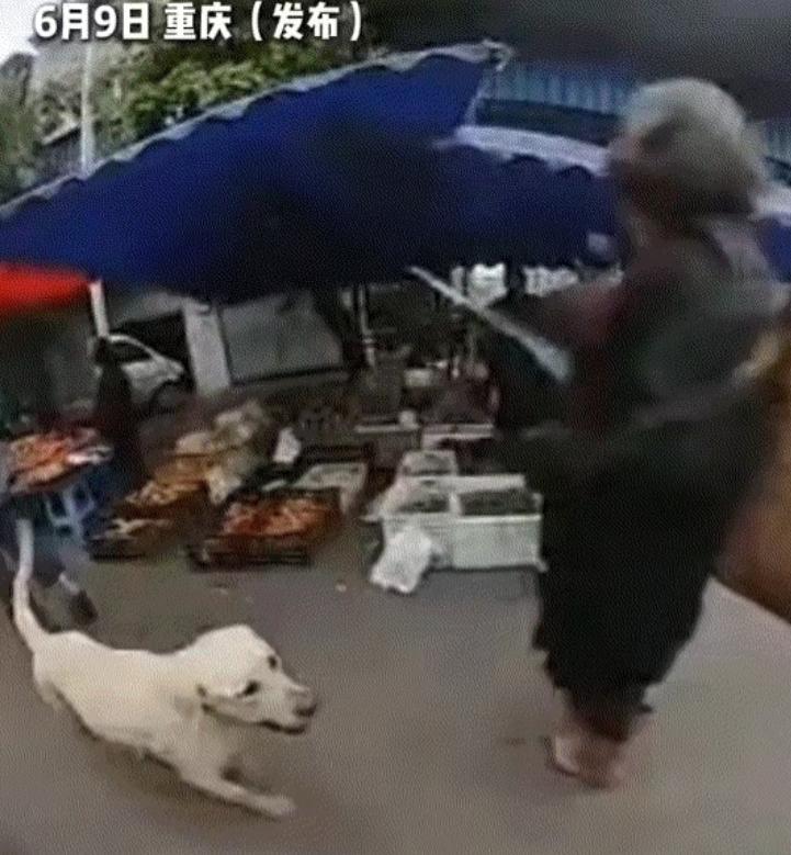 看哭了，重庆，一男子养的狗子在半年前走丢了，男子多番寻找无果后，以为再也见不到狗
