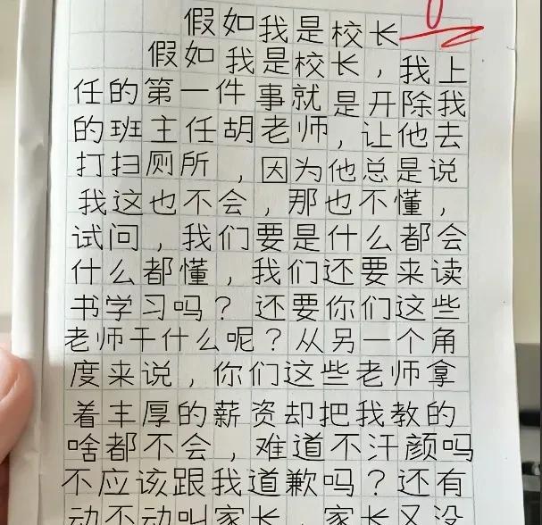 这孩子有胆识，他胆子大，当着班主任的面敢说，思维十分清晰，能抓住中心思想，文字