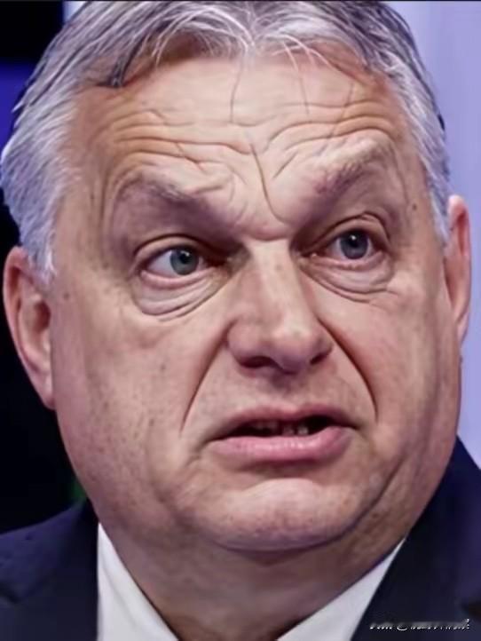 长了＂外心＂的欧尔班，最终结局就要来了。能执政十六年，并且拉拢