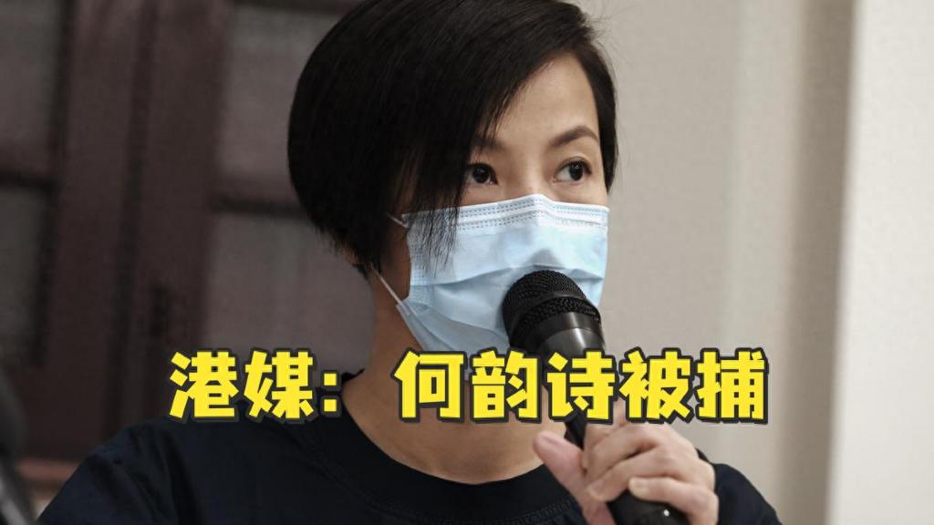 “港独”明星何韵诗，跑到瑞士日内瓦联合国会场大放厥词，想叫把中国除名，看看她现