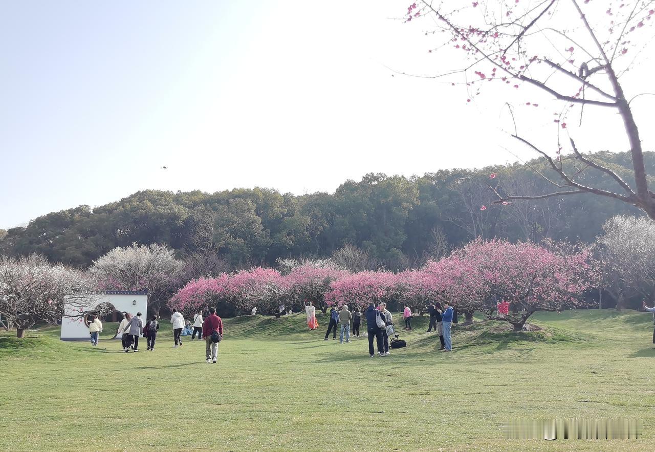 我们这里有个人，大概30年前考上了清华大学，那可是全镇的特大新闻，让多少人羡慕啊