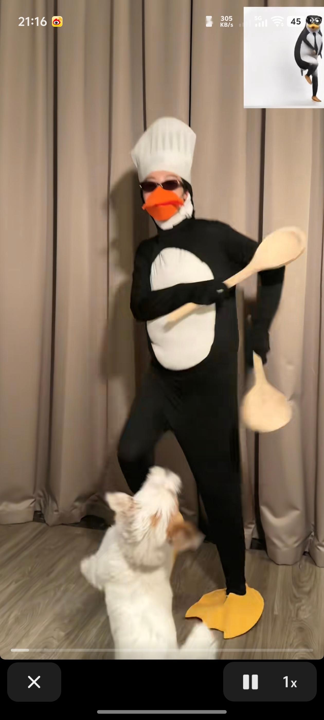 多少钱能让卢昱晓把这条视频删了当我知道这是噜噜晓的时候已经晚了​​​