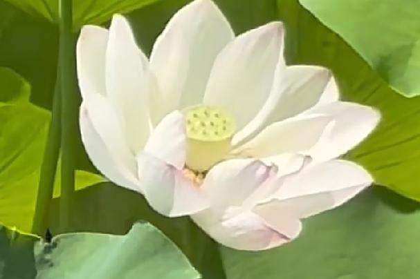 真正的爱是克制不住的，因为会想念，会忍不住想联系。能忍住不联系的，也许各有各的