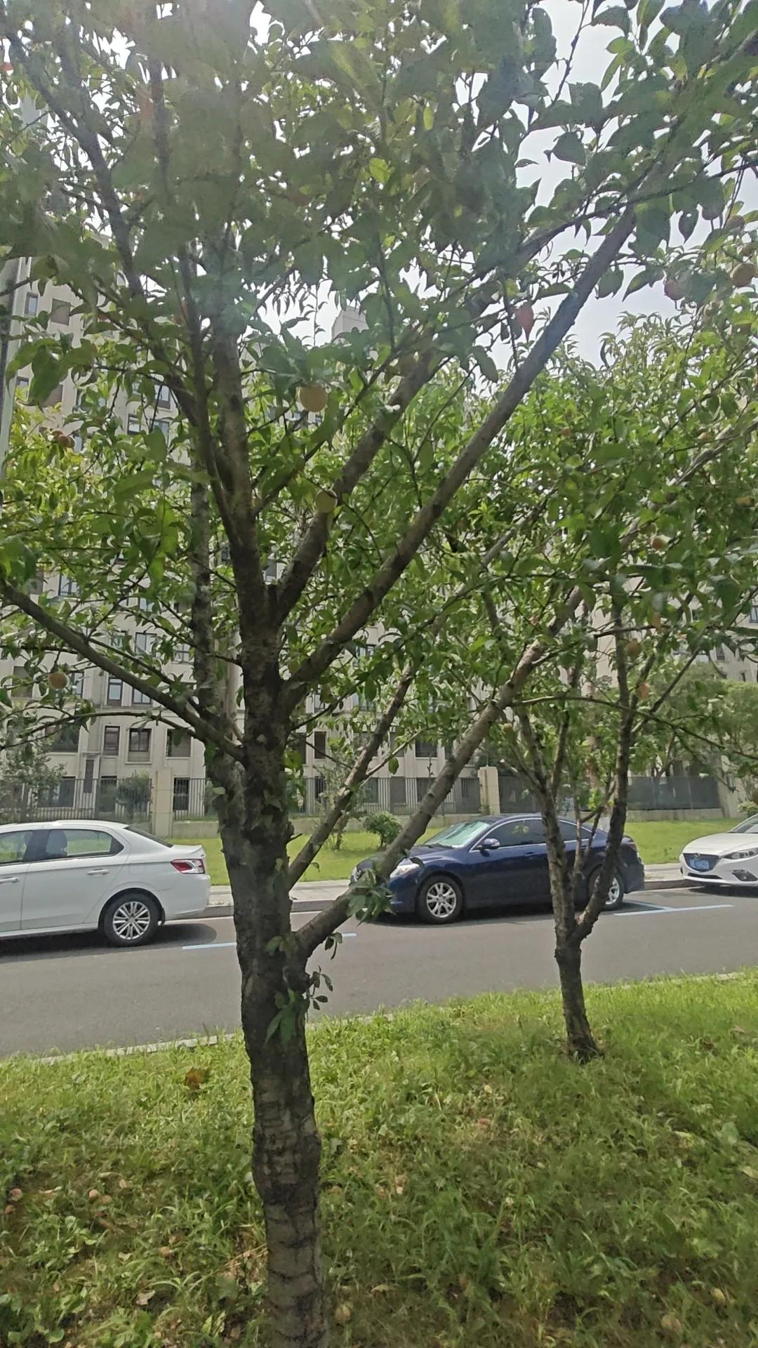 个人破产制度其实完全没必要在中国推行，不信可以看一看执行破产制度的美国。美国可以