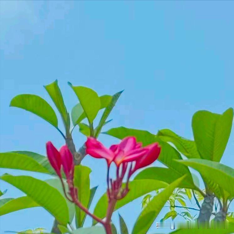 今年52岁的徐芝文跨省履新 近日，该同志履新。  该同志曾经在甘孜的道孚