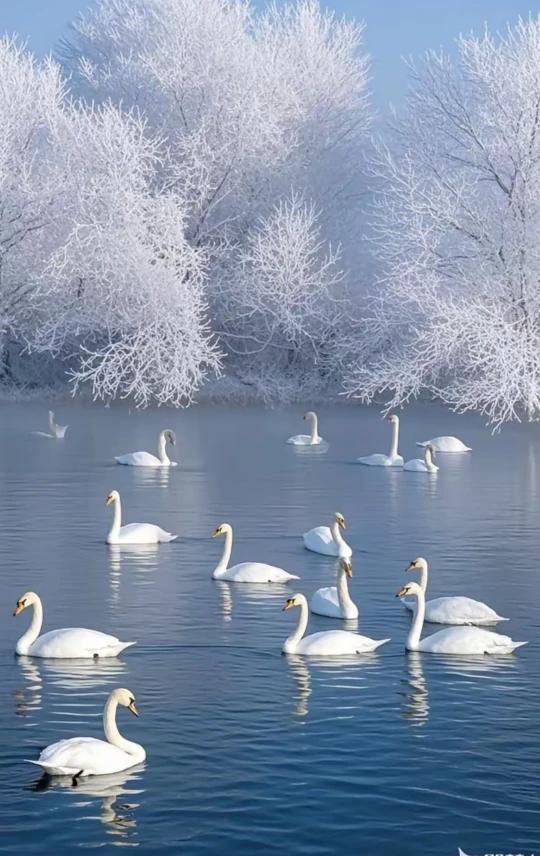 一人难称百人心，百人难合一人意。千人喝茶味不齐，万人做事难统一。