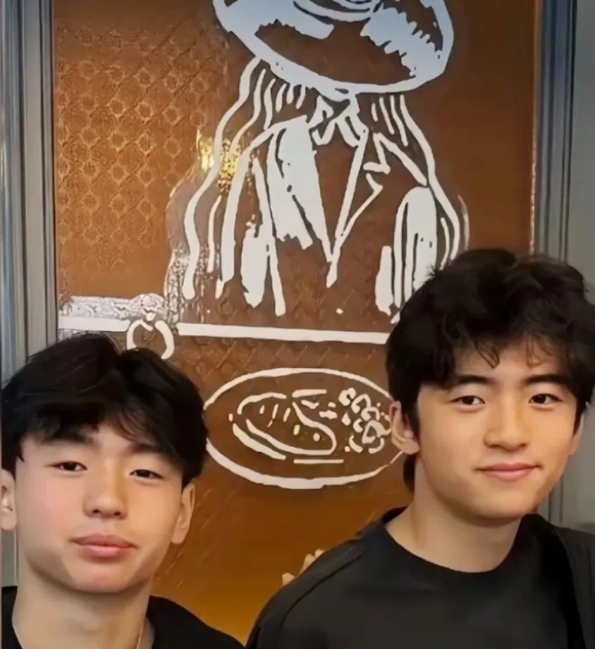 以前觉得张柏芝和谢霆锋这两个儿子，老二比老大长的更清秀精致些，但以目前来看似乎老