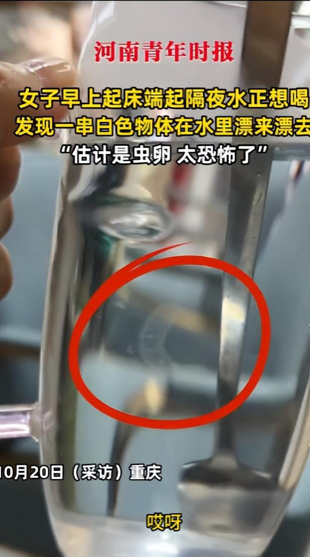 “防不胜防！”10月20日，重庆，一女子早晨起床后端起昨晚倒的水准备饮用，忽然发