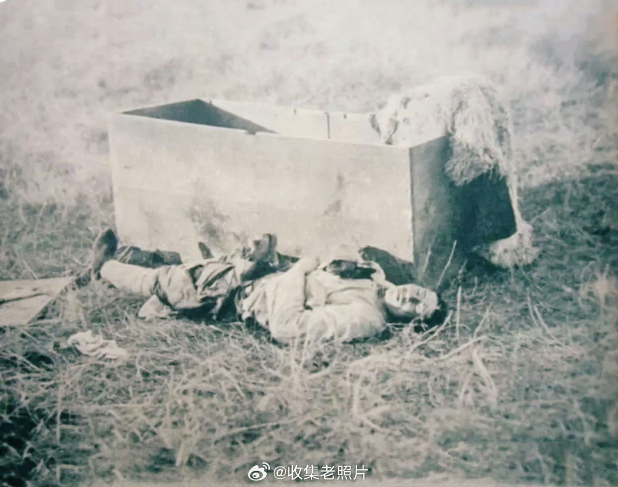 1940年2月23日，东北。因叛徒出卖，杨靖宇将军被困冰天雪地的山林里，在与日寇