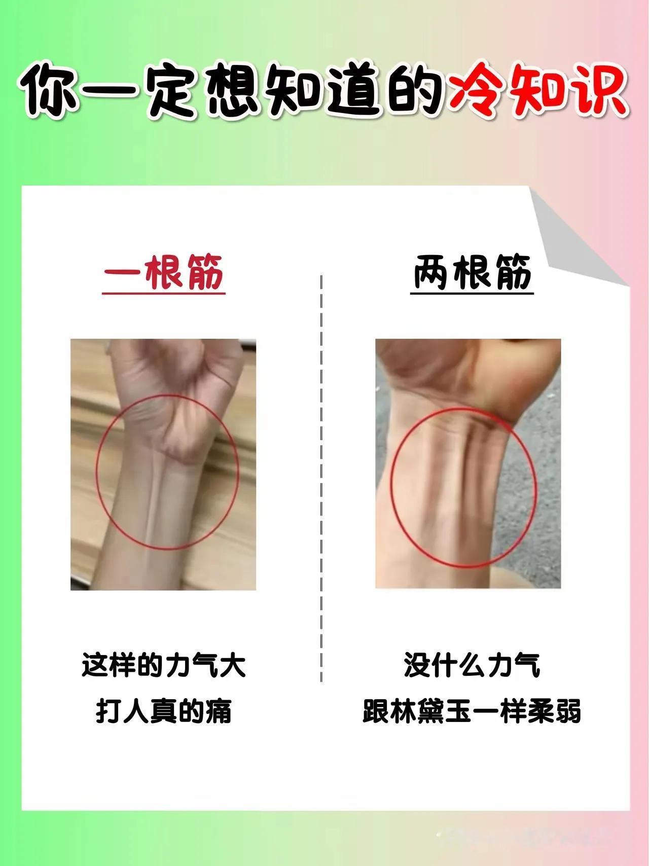 我感觉我的手正好在一根筋和两根筋之间，难怪力气不大不小。大家说说，手臂到底是一