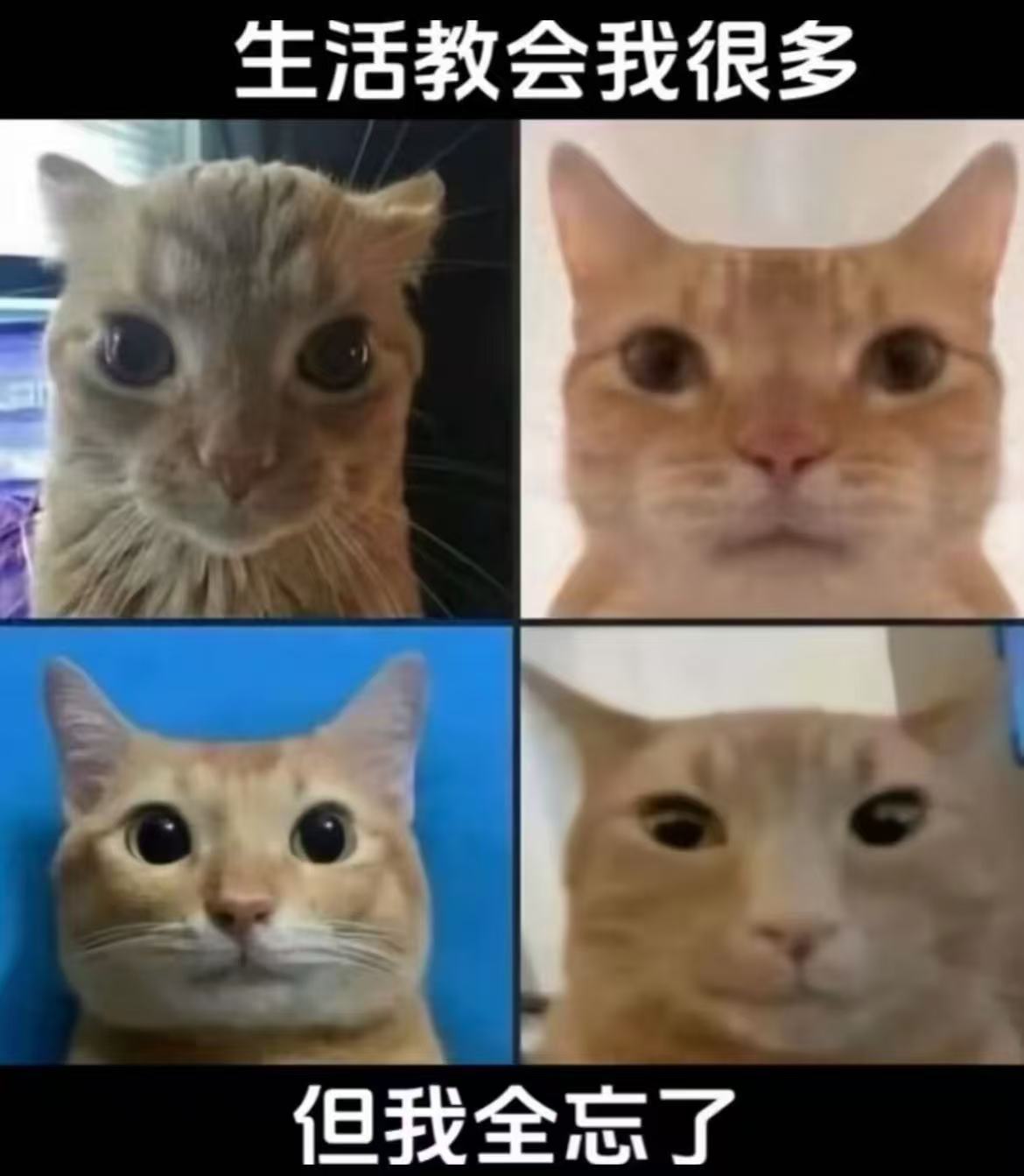 确实​​​