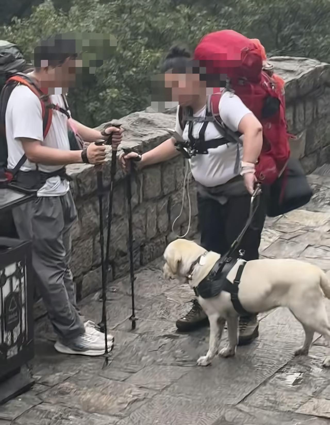 请马上把你的导盲犬还回去，一对盲人夫妻带着导盲犬爬泰山，结果导盲犬基地直接把狗收