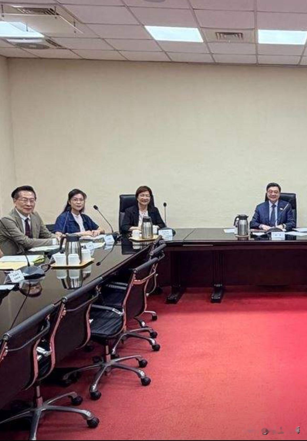 王惠美拜会卓荣泰！批她有用吗？能批评她吗？要是批评她，她冤不冤？她明明